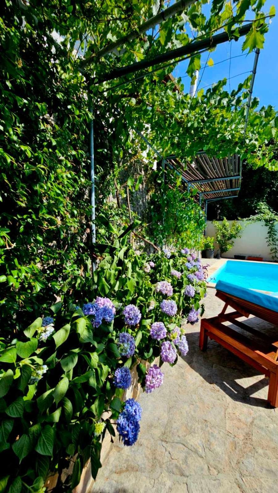 Lovely House With Swimming Pool Мостар Экстерьер фото